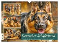 Deutscher Schäferhund. Familienheld, Sportskanone und loyaler Diensthund (Wandkalender 2026 DIN A3 quer), CALVENDO Monatskalender