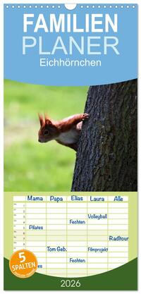 Vorderes Coverbild Familienplaner 2026 - Eichhörnchen mit 5 Spalten (Wandkalender, 21 x 45 cm) CALVENDO