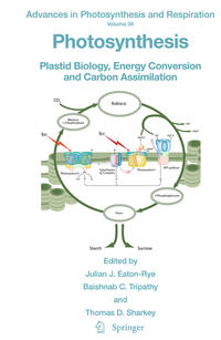 Photosynthesis