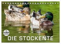 Emotionale Momente: Die Stockente. (Tischkalender 2025 DIN A5 quer), CALVENDO Monatskalender
