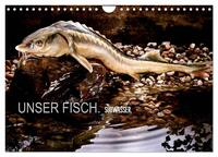 UNSER FISCH. SÜßWASSER. (Wandkalender 2026 DIN A4 quer), CALVENDO Monatskalender