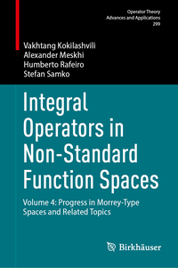 Vorderes Coverbild Integral Operators in Non-Standard Function Spaces