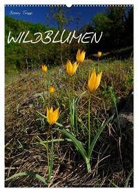 WILDBLUMEN (Wandkalender 2026 DIN A2 hoch), CALVENDO Monatskalender