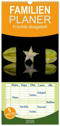 Familienplaner 2025 - Früchte dreigeteilt mit 5 Spalten (Wandkalender, 21 x 45 cm) CALVENDO