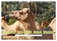 Vorderes Coverbild Orient - Manama, Abu Dhabi, Dubai, Maskat (Wandkalender 2025 DIN A3 quer), CALVENDO Monatskalender