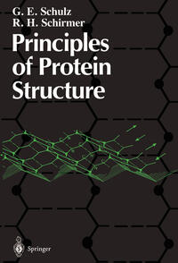 Vorderes Coverbild Principles of Protein Structure