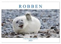 Robben - Lustige Bewohner Helgolands (Wandkalender 2025 DIN A2 quer), CALVENDO Monatskalender