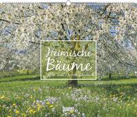 Heimische Bäume 2026 – Wandkalender 60x50 cm – Spiralbindung