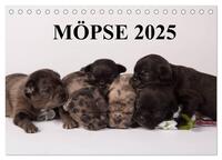 Möpse 2025 (Tischkalender 2025 DIN A5 quer), CALVENDO Monatskalender