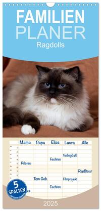 Vorderes Coverbild Familienplaner 2025 - Ragdolls mit 5 Spalten (Wandkalender, 21 x 45 cm) CALVENDO