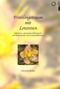 Frühlingstraum mit Lenzrosen