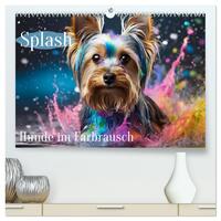 Splash - Hunde im Farbrausch (hochwertiger Premium Wandkalender 2026 DIN A2 quer), Kunstdruck in Hochglanz