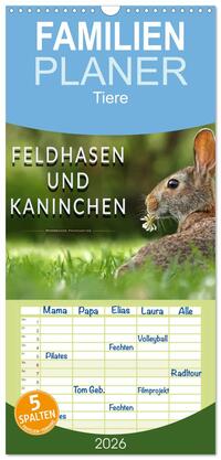 Familienplaner 2026 - Feldhasen und Kaninchen mit 5 Spalten (Wandkalender, 21 x 45 cm) CALVENDO
