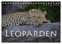 Leoparden - groß und klein (Tischkalender 2025 DIN A5 quer), CALVENDO Monatskalender