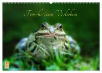 Vorderes Coverbild Frösche zum Verlieben (Wandkalender 2025 DIN A2 quer), CALVENDO Monatskalender