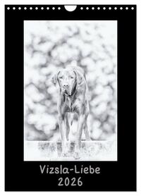 Vizsla-Liebe (Wandkalender 2026 DIN A4 hoch), CALVENDO Monatskalender