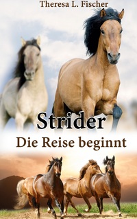 Vorderes Coverbild Strider