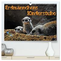 Erdmännchens Kinderstube (hochwertiger Premium Wandkalender 2025 DIN A2 quer), Kunstdruck in Hochglanz