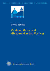 Coulomb Gases and Ginzburg–Landau Vortices