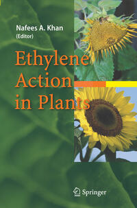 Vorderes Coverbild Ethylene Action in Plants