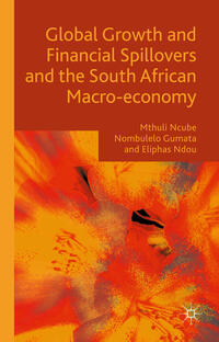 Vorderes Coverbild Global Growth and Financial Spillovers and the South African Macro-economy