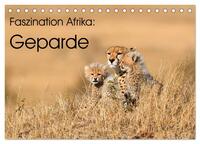 Faszinaton Afrika: Geparde (Tischkalender 2025 DIN A5 quer), CALVENDO Monatskalender