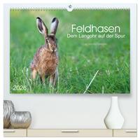 Feldhasen - dem Langohr auf der Spur (hochwertiger Premium Wandkalender 2026 DIN A2 quer), Kunstdruck in Hochglanz