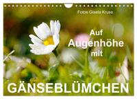 Auf Augenhöhe mit Gänseblümchen (Wandkalender 2025 DIN A4 quer), CALVENDO Monatskalender
