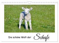 Die schöne Welt der Schafe (Wandkalender 2025 DIN A4 quer), CALVENDO Monatskalender