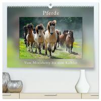 Pferde Vom Minishetty bis zum Kaltblut (hochwertiger Premium Wandkalender 2025 DIN A2 quer), Kunstdruck in Hochglanz
