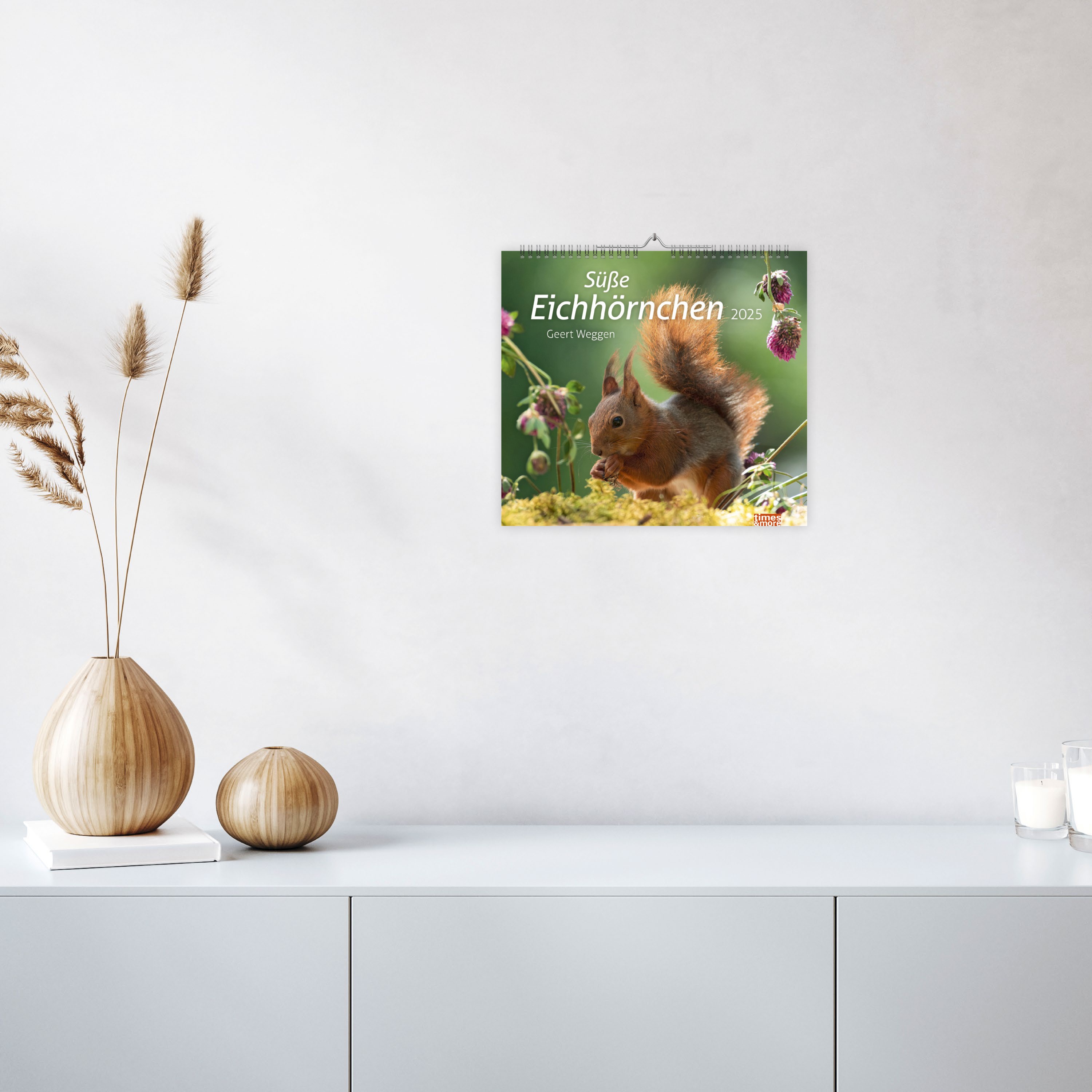 Eichhörnchen Bildkalender 2025