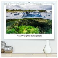 Unter Wasser rund um Fehmarn (hochwertiger Premium Wandkalender 2026 DIN A2 quer), Kunstdruck in Hochglanz