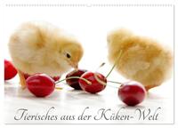 Tierisches aus der Küken-Welt (Wandkalender 2026 DIN A2 quer), CALVENDO Monatskalender