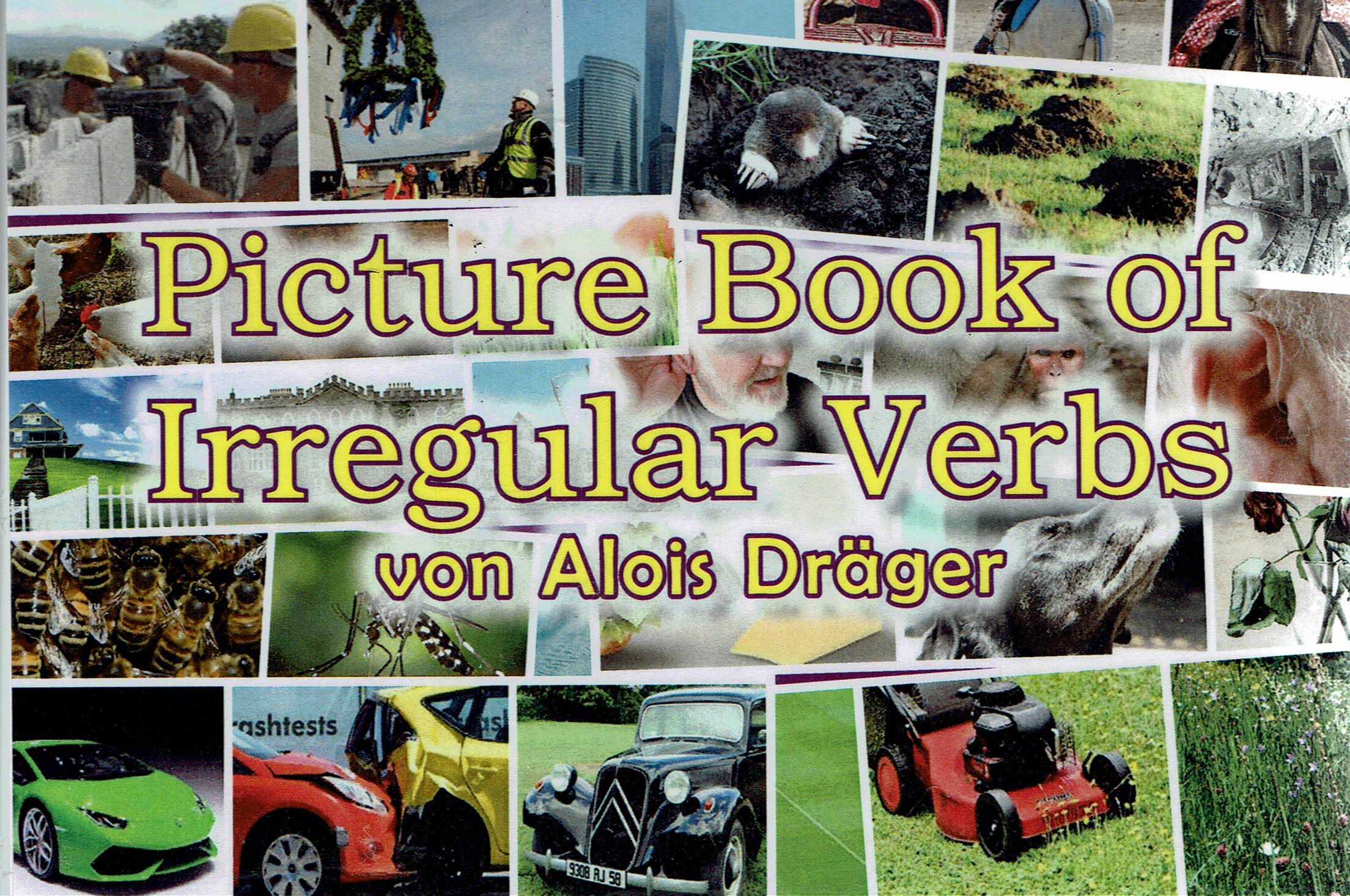 Anderes Coverbild Picture Book of Irregular Verbs