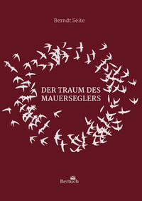 Vorderes Coverbild Der Traum des Mauerseglers