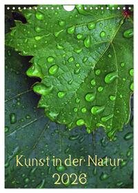 Kunst in der Natur (Wandkalender 2026 DIN A4 hoch), CALVENDO Monatskalender