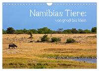 Namibias Tiere: von groß bis klein (Wandkalender 2025 DIN A4 quer), CALVENDO Monatskalender