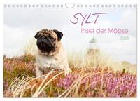 Sylt - Insel der Möpse (Wandkalender 2025 DIN A4 quer), CALVENDO Monatskalender