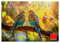 Wellensittiche farbenfroh und munter (Wandkalender 2025 DIN A4 quer), CALVENDO Monatskalender