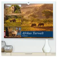 Vorderes Coverbild Afrikas Tierwelt: Nashörner (hochwertiger Premium Wandkalender 2025 DIN A2 quer), Kunstdruck in Hochglanz