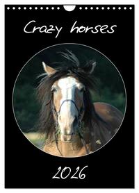 Crazy horses (Wandkalender 2026 DIN A4 hoch), CALVENDO Monatskalender