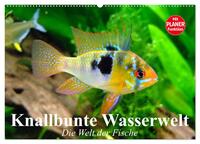 Knallbunte Wasserwelt. Die Welt der Fische (Wandkalender 2026 DIN A2 quer), CALVENDO Monatskalender