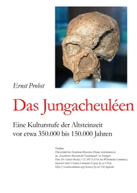 Vorderes Coverbild Das Jungacheuléen
