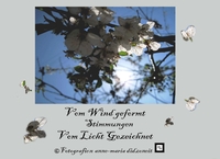 Vorderes Coverbild Vom Wind geformt, Stimmungen vom Licht gezeichnet
