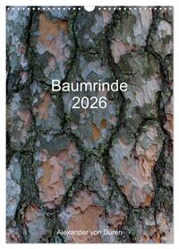 Baumrinde 2026 (Wandkalender 2026 DIN A3 hoch), CALVENDO Monatskalender