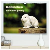 Kaninchen klein und putzig (hochwertiger Premium Wandkalender 2025 DIN A2 quer), Kunstdruck in Hochglanz