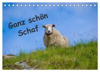 Ganz schön Schaf (Tischkalender 2026 DIN A5 quer), CALVENDO Monatskalender