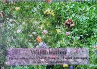 Wildblumen. Flores Silvestres - Wild Flowers - Fleurs Sauvages