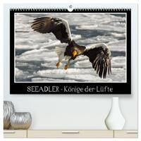 Seeadler - Könige der Lüfte (hochwertiger Premium Wandkalender 2026 DIN A2 quer), Kunstdruck in Hochglanz