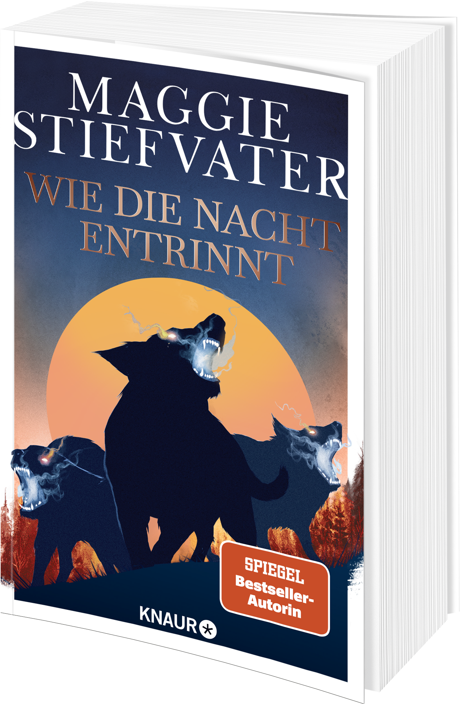 Wie die Nacht entrinnt